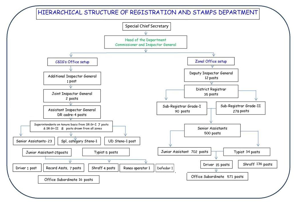 Organisation Structure organization-structure-img.png